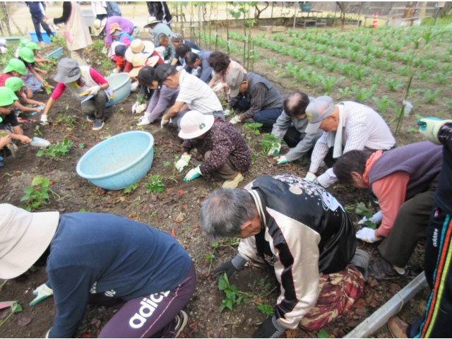 みんなで掘ろう！