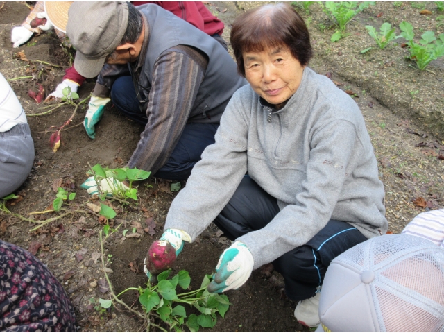 これは大きいぞ