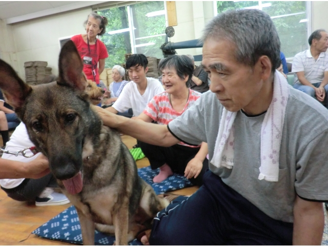 みんなに優しく撫でられてうらやましいなー