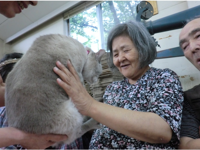 私に似ている？