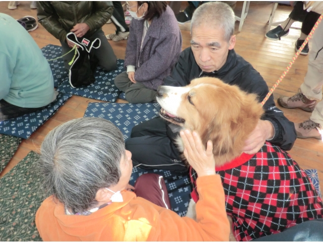 大きいけどおとなしいね