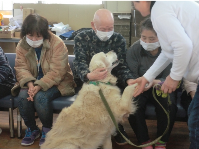 帰りたくないワン😢