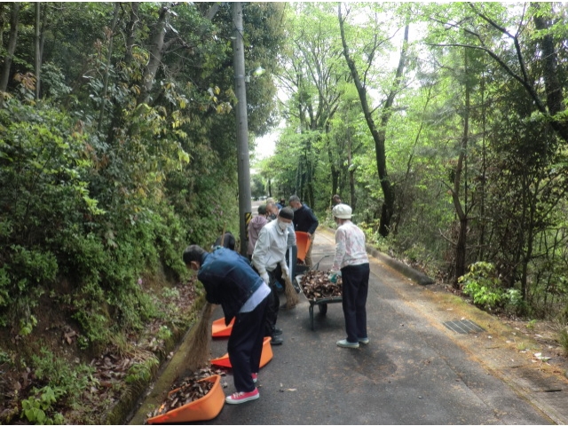 一本道の坂は木々に囲まれています