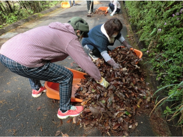 落ち葉を蓑に集めます