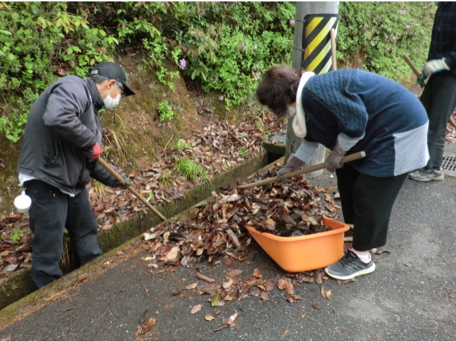 大量の落ち葉でびっくり👀