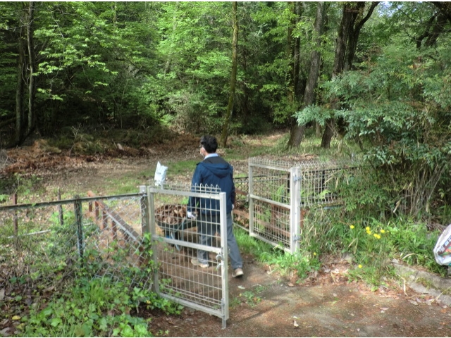 グラウンド横の山の中へ