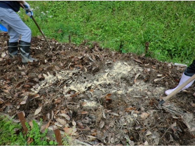 まんべんなくかけます。