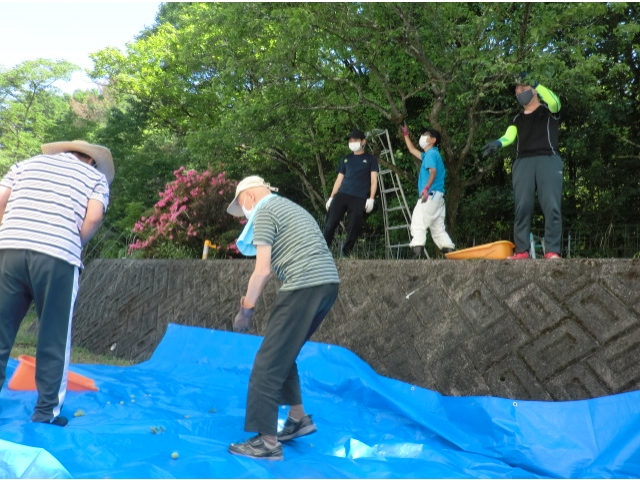 たくさん落ちたぞー