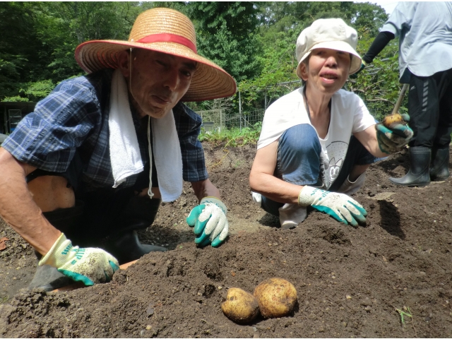 大きなじゃがいも！