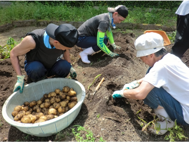たくさん採れたよ♪