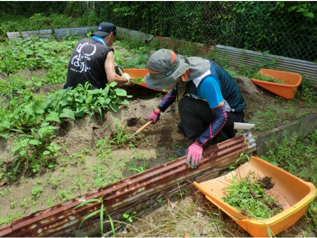 さつま芋も楽しみですね☆