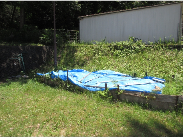 ２ヶ月前に仕込んだ土はさらに熟成中です