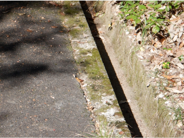 すっかり綺麗になりました