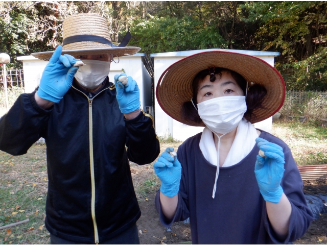 ニンニクを持ってます。