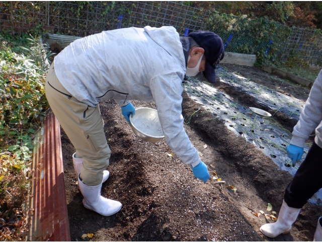 肥料をまいて