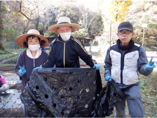 シートをかぶせます。