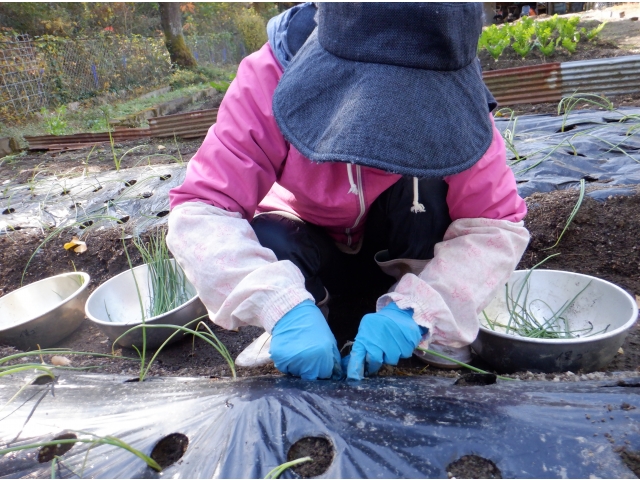 もくもくと頑張ります。