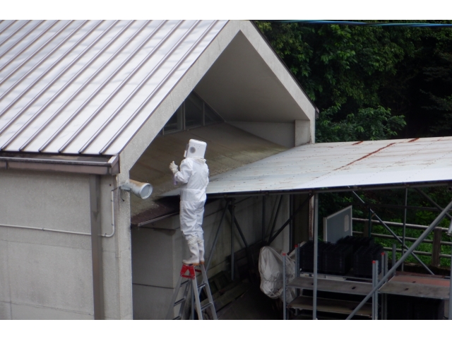 蜂を弱らせてから巣を取ります