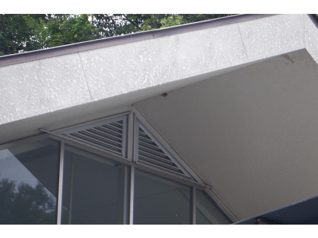 今後は一週間程度戻り蜂に注意です！