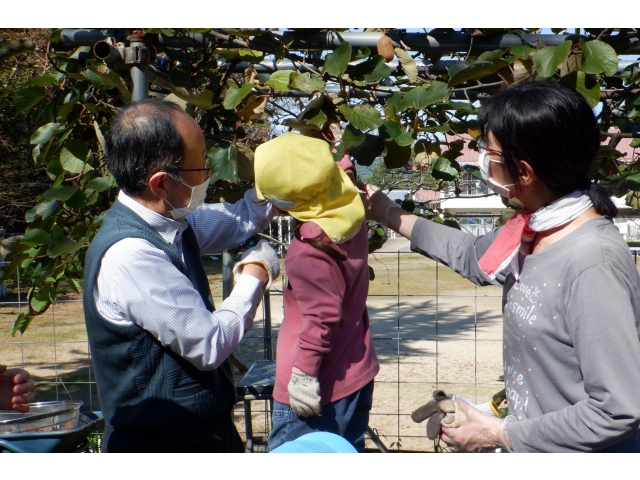 手を伸ばして...