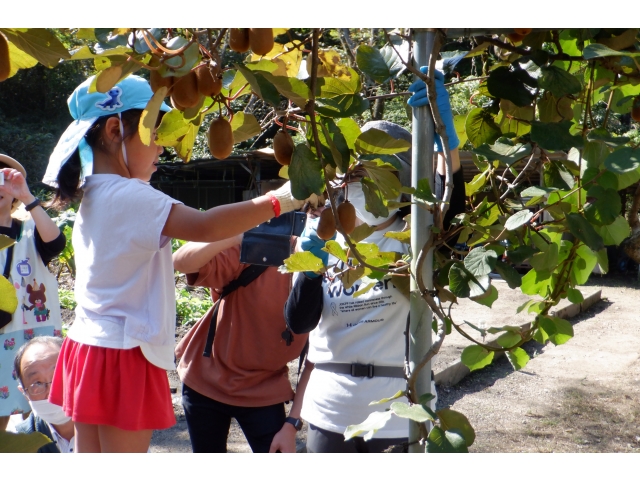 どれにしようかな