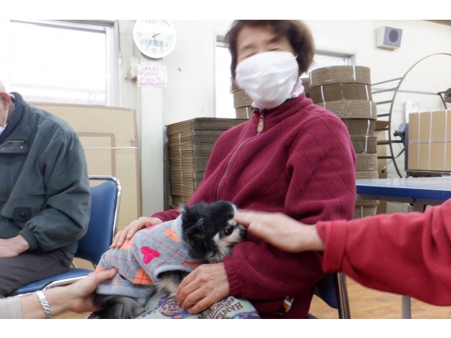 癒されています～😊