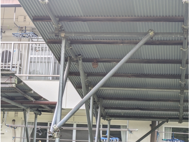 今回はグランド側軒下に発見