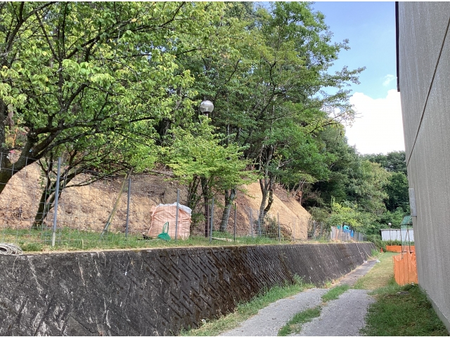 だいぶ削っています