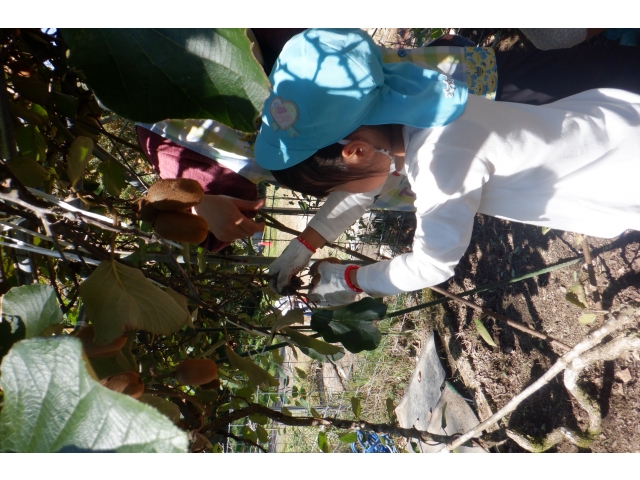 上手にとれました♬