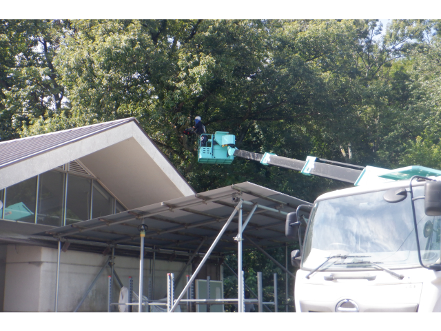 高所作業大変そうです♪