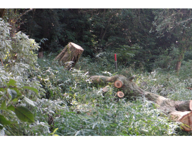 これで一安心♪