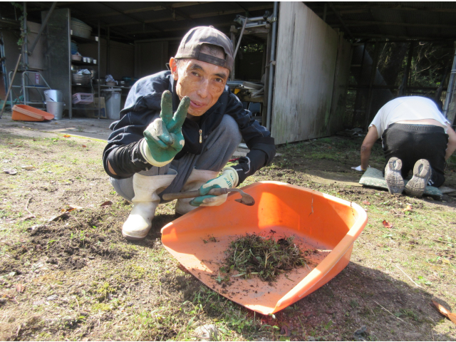 草取りも頑張っています
