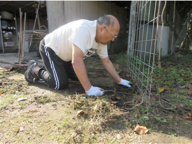 一生懸命草を抜きます