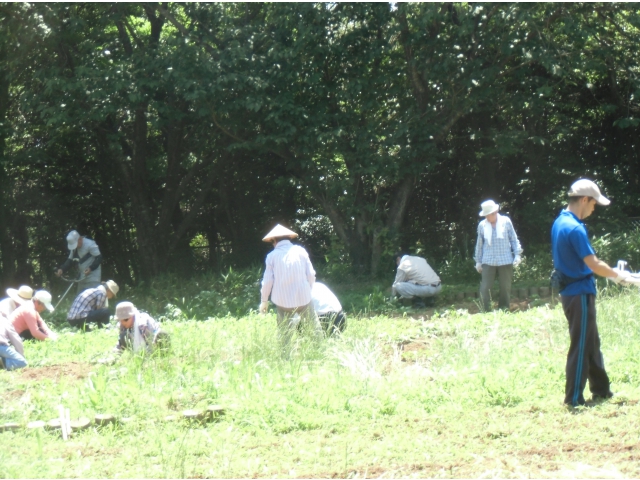 暑いなかの作業、ありがとうございました。