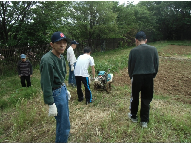 （1）まずは耕運機で耕します。