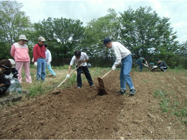 （2）うね立て、ファイト～！