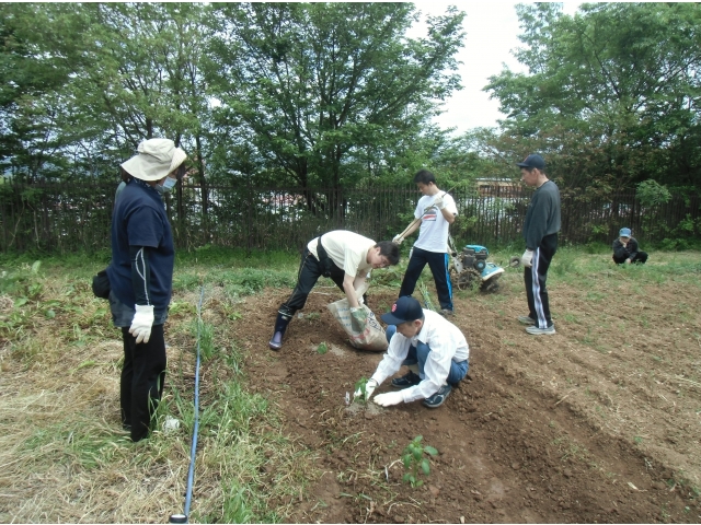 （6）肥料をあげて、、
大きくなってね～！！