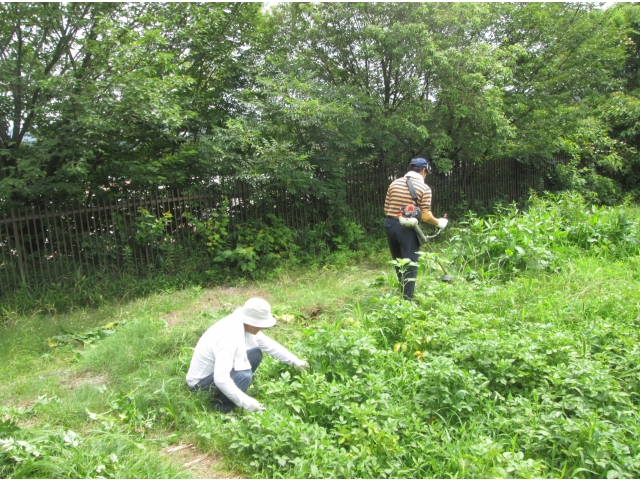 男性は草刈へ