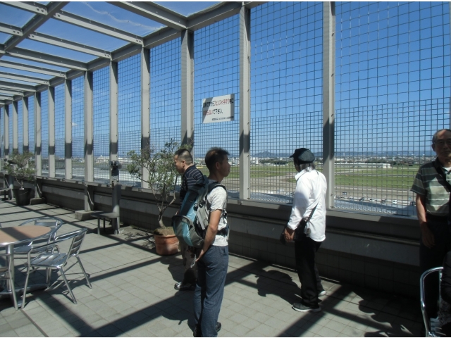 たくさん飛んでるな～