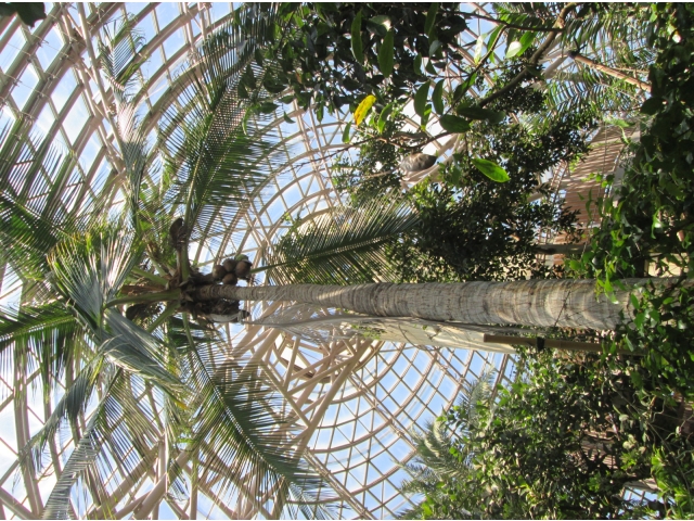 高い、いや高すぎます