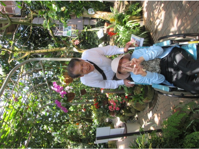 熱帯に囲まれながら