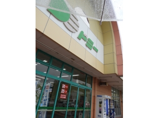 それともドミ～？