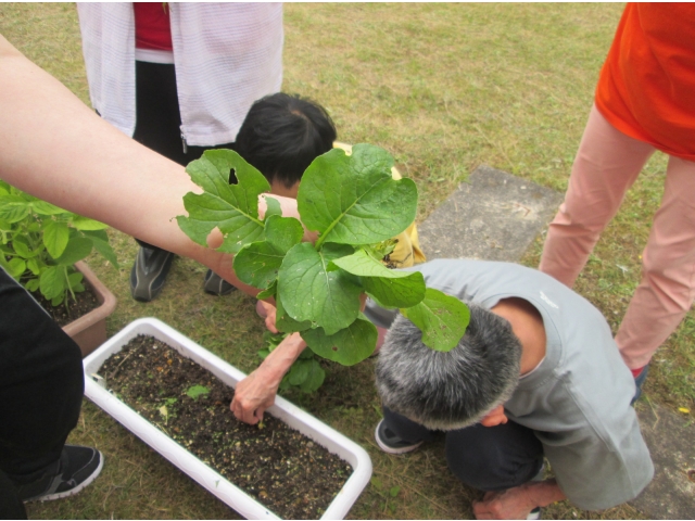 食べごろかな？