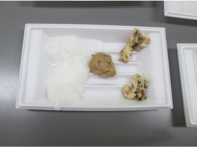 粥・ミキサー食・キザミ食