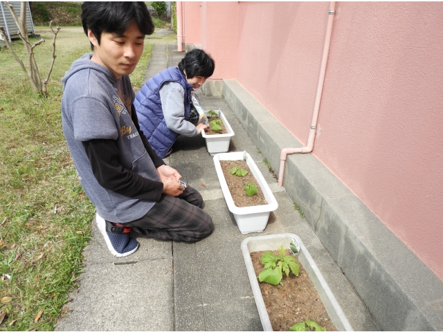 美味しく育ちますように
