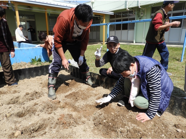 美味しく育ってね