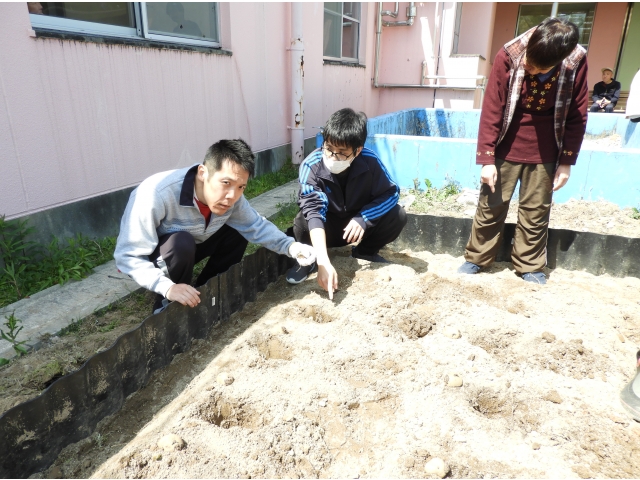 どこに入れようかな