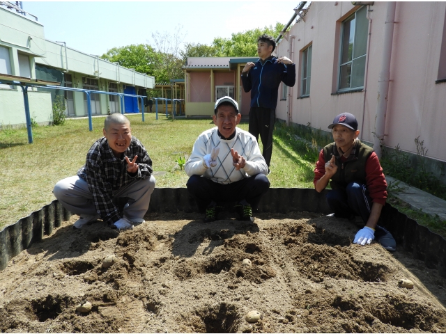 一生懸命植えました