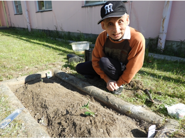 夏にはスイカ割りができるかな