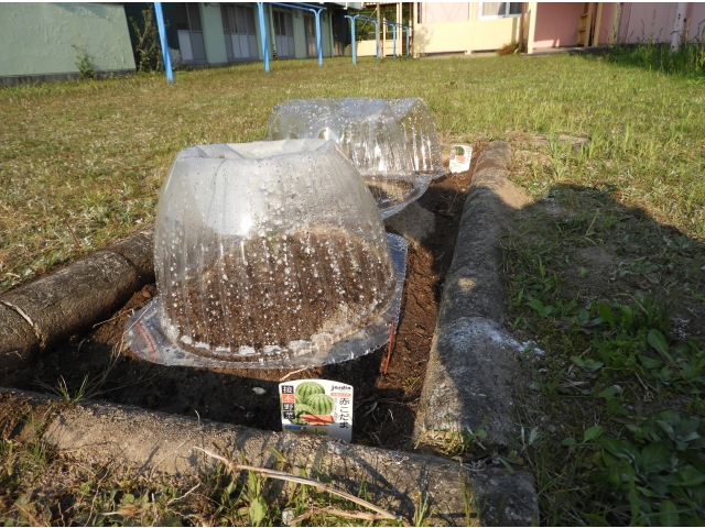 最後にカバーを掛けて完成です